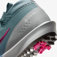 Nike Infinity Tour 2 GORE-TEX чоловічі Waterproof для гольфу Кросівки блакитний