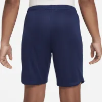 Paris Saint-Germain 2023/24 Stadium Home/Away Big дитячі Nike Dri-FIT Soccer шорти блакитний