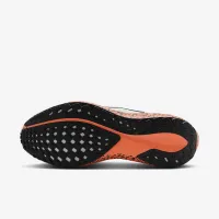 Nike Pegasus EasyOn Electric мужские Road Running Кроссовки многоцветный