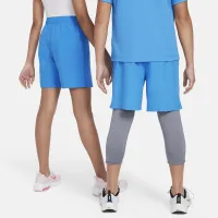 Nike Multi Big Kids' (Boys') Dri-FIT Training Shorts