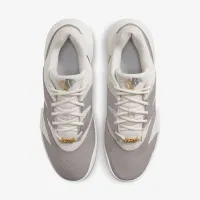 NikeCourt Lite 4 Premium мужские Hard Court Tennis Кроссовки цвет серый