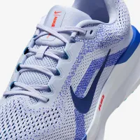 Nike Winflo 11 чоловічі Road Running Кросівки (Extra Wide) колір сірий