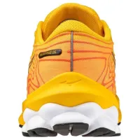 Чоловічі Кросівки для бігу MIZUNO WAVE SKYRISE 5 (J1GC240902)