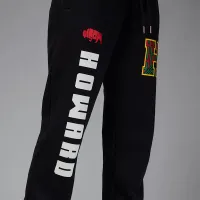 Nike Jordan x Howard University женская Fleece Pants цвет черный