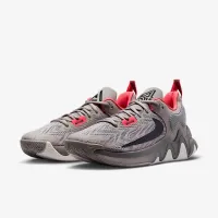 Nike Giannis Immortality 2 баскетбольные Кроссовки цвет серый