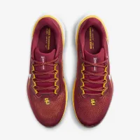 USC Pegasus 41 мужские Nike College Road Running Кроссовки цвет красный