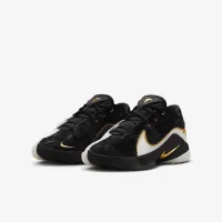 Nike LeBron XXII Split Big детские баскетбольные Кроссовки цвет белый