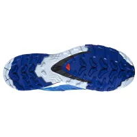 Кросівки для бігу Чоловічі Salomon XA PRO 3D V9 (472721)