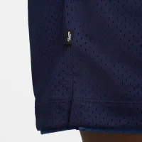 Nike SB Skate баскетбольные шорты синий