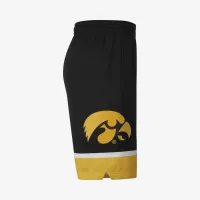Nike College Dri-FIT (Iowa) чоловічі баскетбольні шорти колір чорний