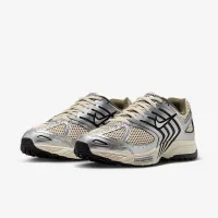 Nike Air Pegasus 2005 чоловічі Кросівки колір коричневий