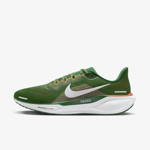 FAMU Pegasus 41 чоловічі Nike College Road Running Кросівки колір зелений
