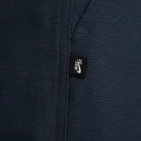 Nike SB Double-Knee Twill Skate Pants блакитний