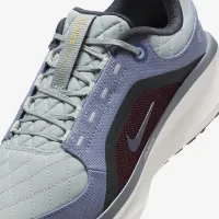 Nike Winflo 11 GORE-TEX мужские Waterproof Road Running Кроссовки цвет серый