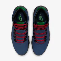 Nike Cygnal чоловічі Кросівки блакитний