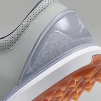 Nike Jordan ADG 4 NRG чоловічі для гольфу Кросівки колір сірий