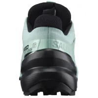 Кросівки для бігу w terenie SALOMON SPEEDCROSS 6 GTX Gore-tex (417435)