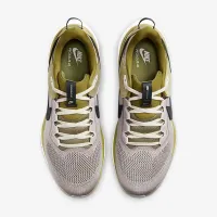 Nike Air Zoom Pegasus 41 SP чоловічі Кросівки колір сірий