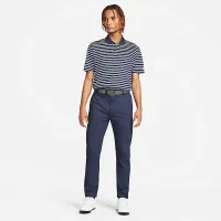 Nike Dri-FIT Victory мужские Striped для гольфа Polo синий