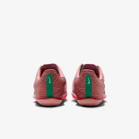 Nike Maxfly 2 Track & Field Sprinting Spikes Pink