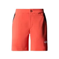 Шорты The North Face Felik 0A87HYWIM1 - Оранжевые