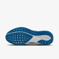 Nike Pegasus 41 NFL Carolina Panthers мужские Road Running Кроссовки синий