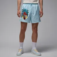 Nike Jordan Essentials мужские шорты синий