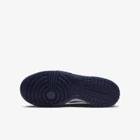 Nike Dunk Low Big детские Кроссовки цвет серый
