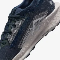 Nike Pegasus Trail 5 GORE-TEX женская Waterproof Trail Running Кроссовки синий