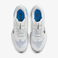 Nike Pegasus Premium мужские Road Running Кроссовки цвет белый