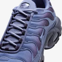 Nike Air Max Plus мужские Кроссовки синий