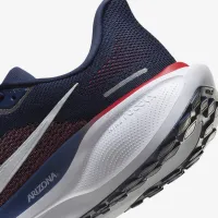 Arizona Pegasus 41 чоловічі Nike College Road Running Кросівки блакитний