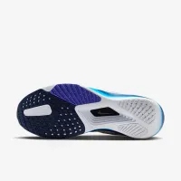 Nike Rival Fly 4 чоловічі Road Running Кросівки колір сірий