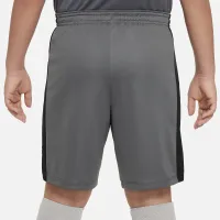 Nike Dri-FIT Academy детские Soccer шорты цвет серый