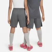 Nike Dri-FIT Academy детские Soccer шорты цвет серый