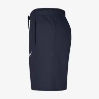 Michigan чоловічі Nike College шорти блакитний