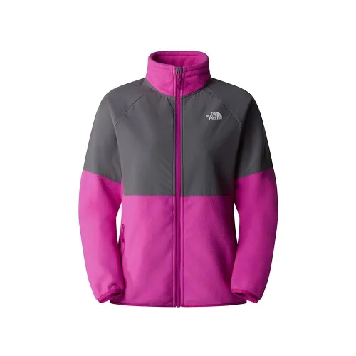 Кофта/футболка The North Face 100 Glacier HVWT Full 0A89JA71O1 - różowo-Серая