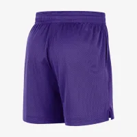 Sacramento Kings чоловічі Nike NBA Mesh шорти колір фіолетовий