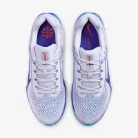 Nike Winflo 11 мужские Road Running Кроссовки цвет серый