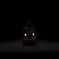 Nike Pegasus Trail 5 GORE-TEX женская Waterproof Trail Running Кроссовки цвет серый