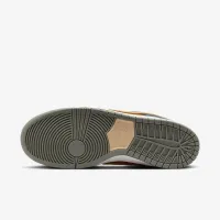 Nike SB Dunk Low Pro Skate Кросівки колір сірий