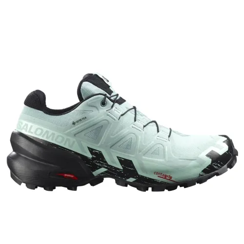 Кроссовки для бега w terenie SALOMON SPEEDCROSS 6 GTX Gore-tex (417435)