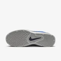 Nike SB Vertebrae чоловічі Кросівки блакитний