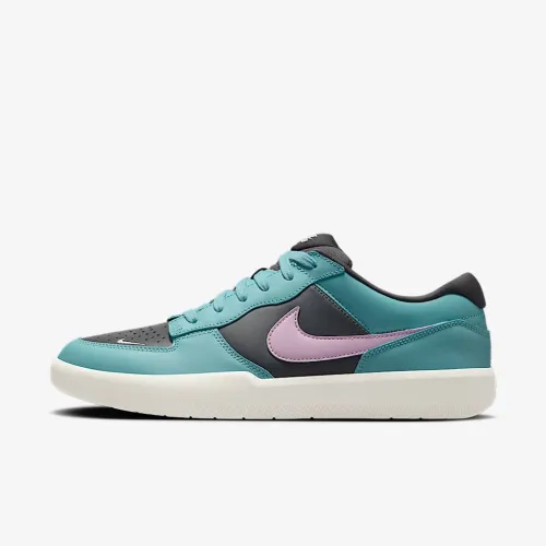 Nike SB Force 58 Premium Skate Кросівки блакитний