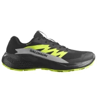 Кроссовки для бега Мужские SALOMON ALPHAGLIDE GTX Gore-Tex (478020)