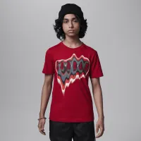 Nike Jordan Air Heat Map Big детские Graphic футболка цвет красный