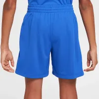 Nike Multi Big детские (для мальчиков) Dri-FIT шорты синий
