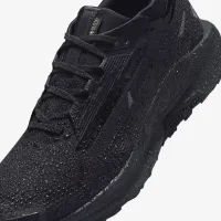 Nike Pegasus Trail 5 GORE-TEX чоловічі Waterproof Trail Running Кросівки колір чорний