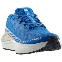 Кроссовки Мужские SALOMON DRX DEFY GRVL (477607)
