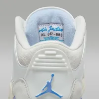 Nike Air Jordan 3 Retro 